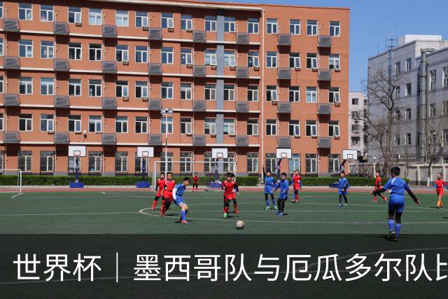 世界杯｜墨西哥队与厄瓜多尔队比赛因雷雨延迟